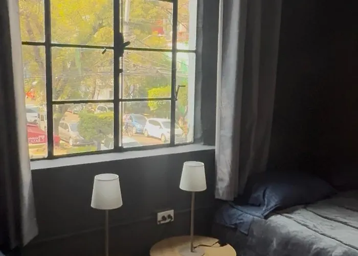 Apartamento Stylish Loft In Roma Sur Walk To Cafés&metro México DF